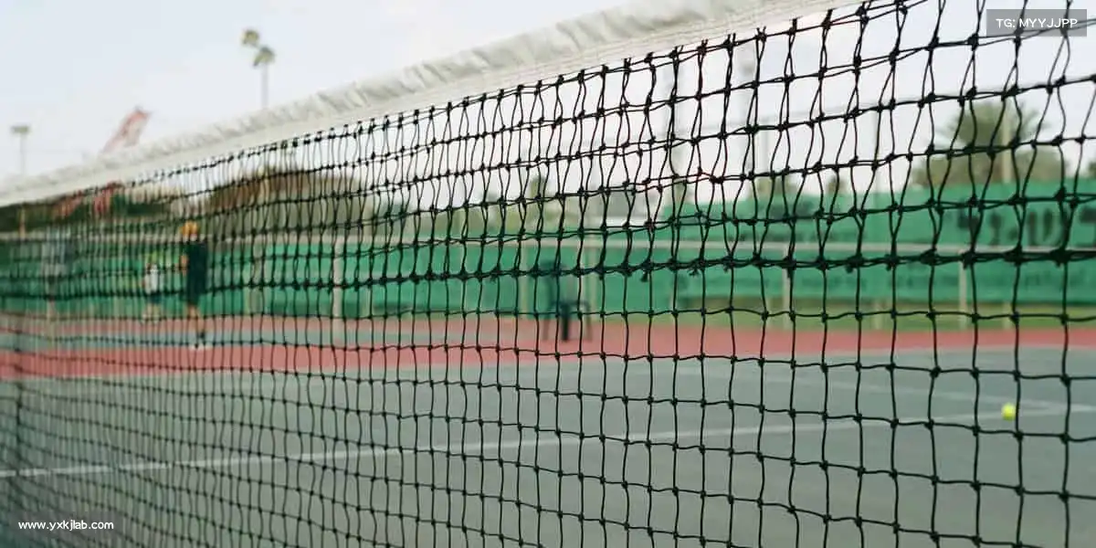 行业领先的理由